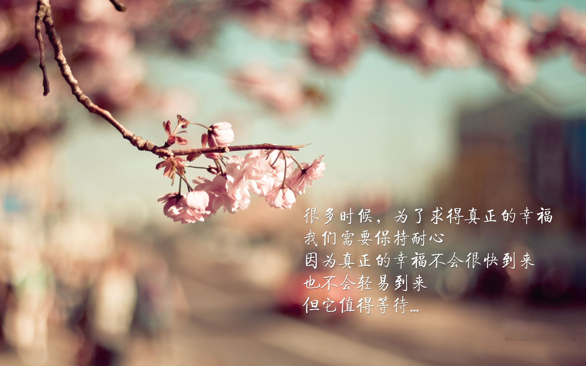 凯尔特人调整战术，季后赛之路更添信心，凯尔特人晋级