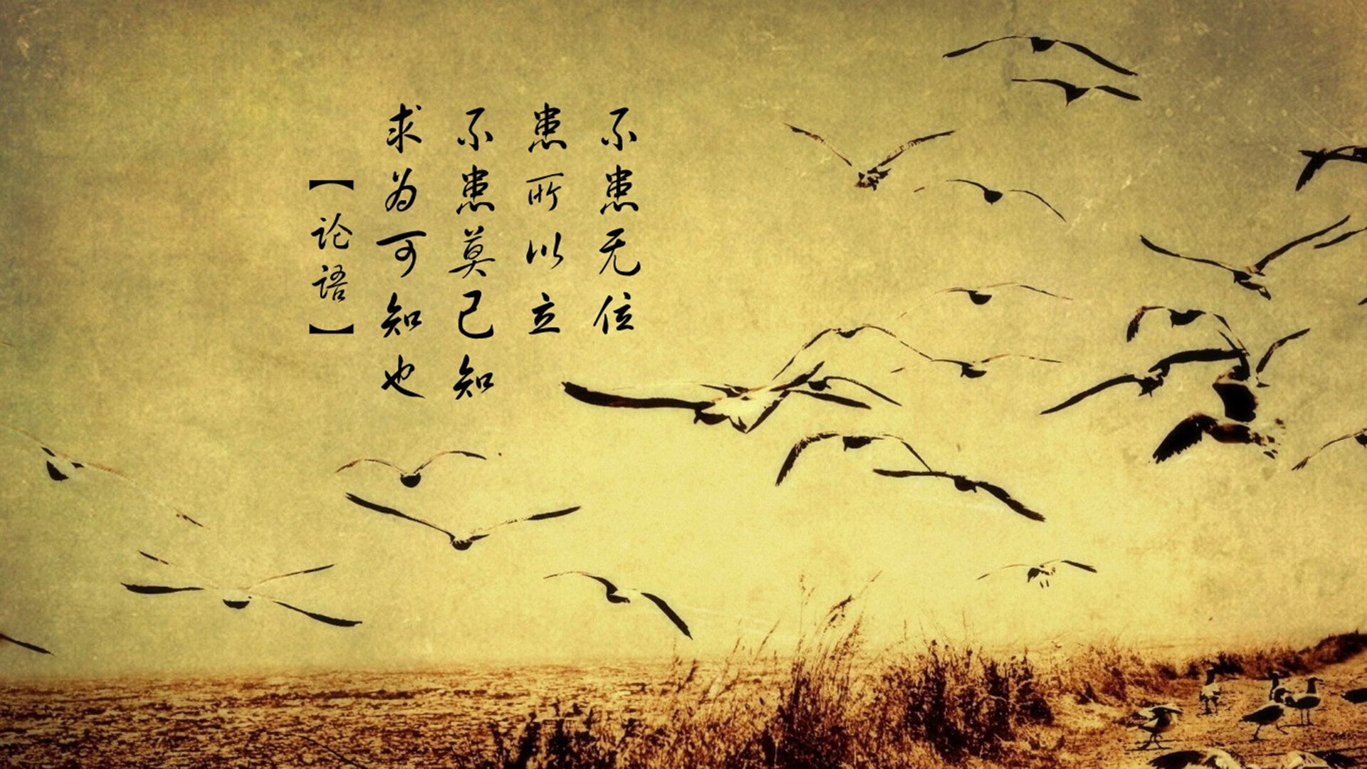 爱游戏体育平台-基利安·海耶斯在NBA常规赛中表现出色，基利安海斯球探报告