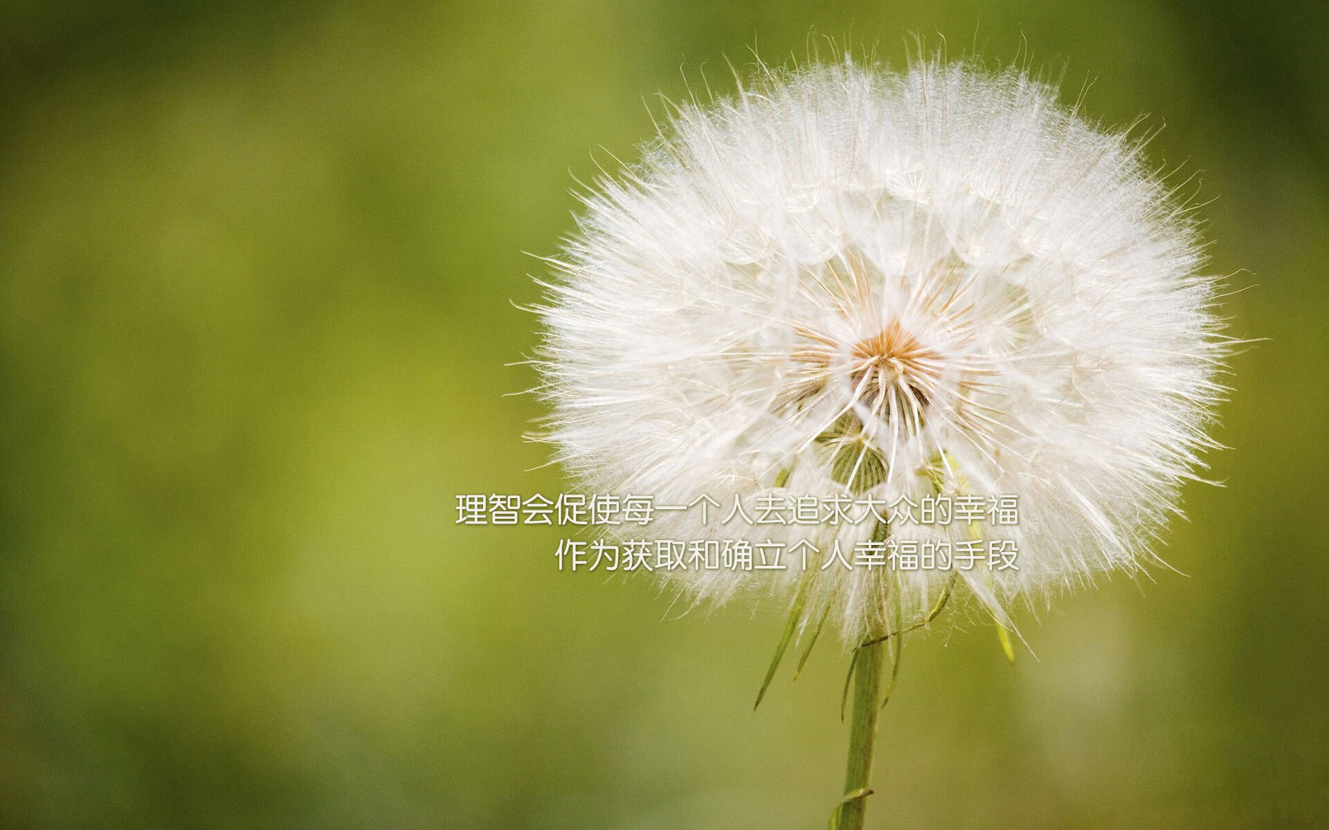 东契奇带队完成关键胜利，东契奇进攻集锦