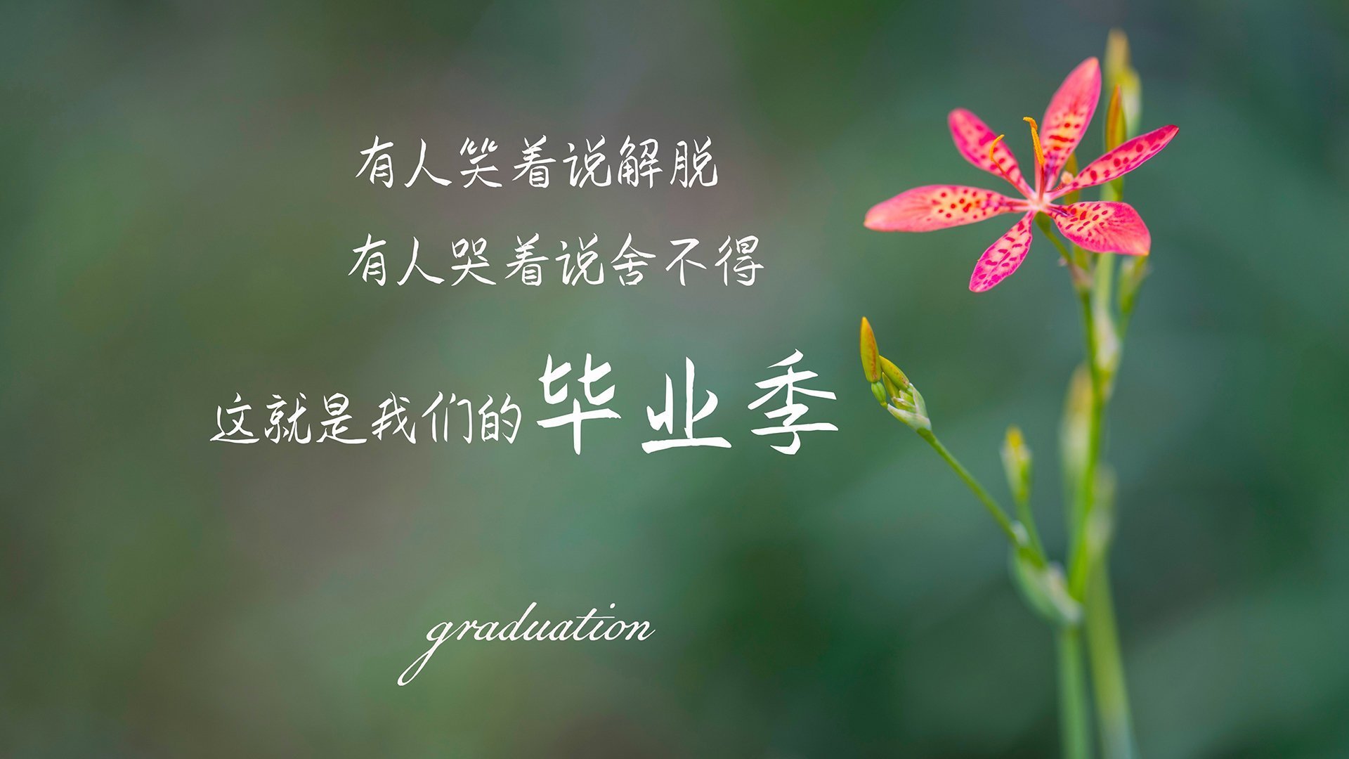 爱游戏官方-南特客场逆袭战胜，斯特拉斯堡难以克服，南特是哪里