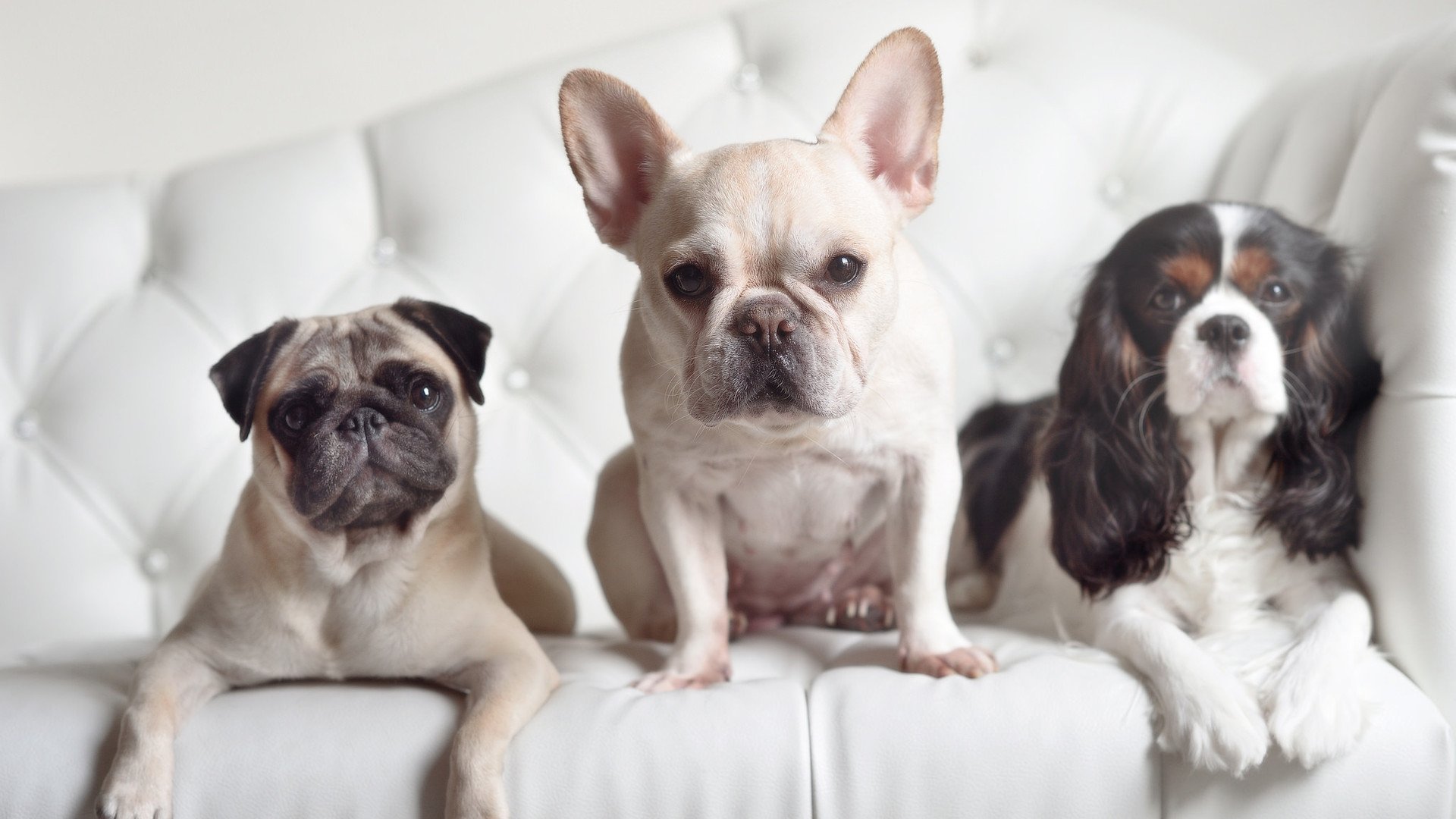 LPL官方发布赛程调整公告比赛节奏更紧凑,lpl赛事前瞻