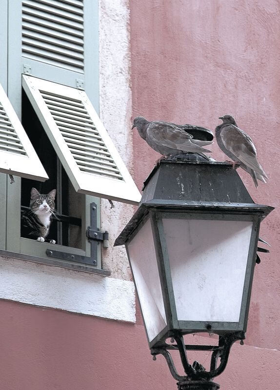 爱游戏体育-中国男篮加强外线投射 提升得分多样性，中外男篮对抗赛