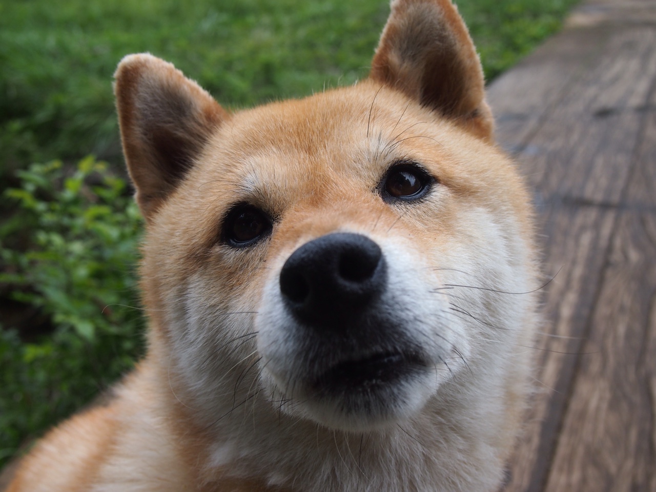 爱游戏娱乐-中场组织流畅，切尔西控球率全场最高，切尔西最强中场组合