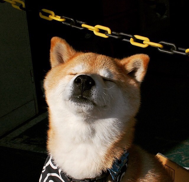 体操器械质量监督抽检结果全部合格,体操器械有哪些图片