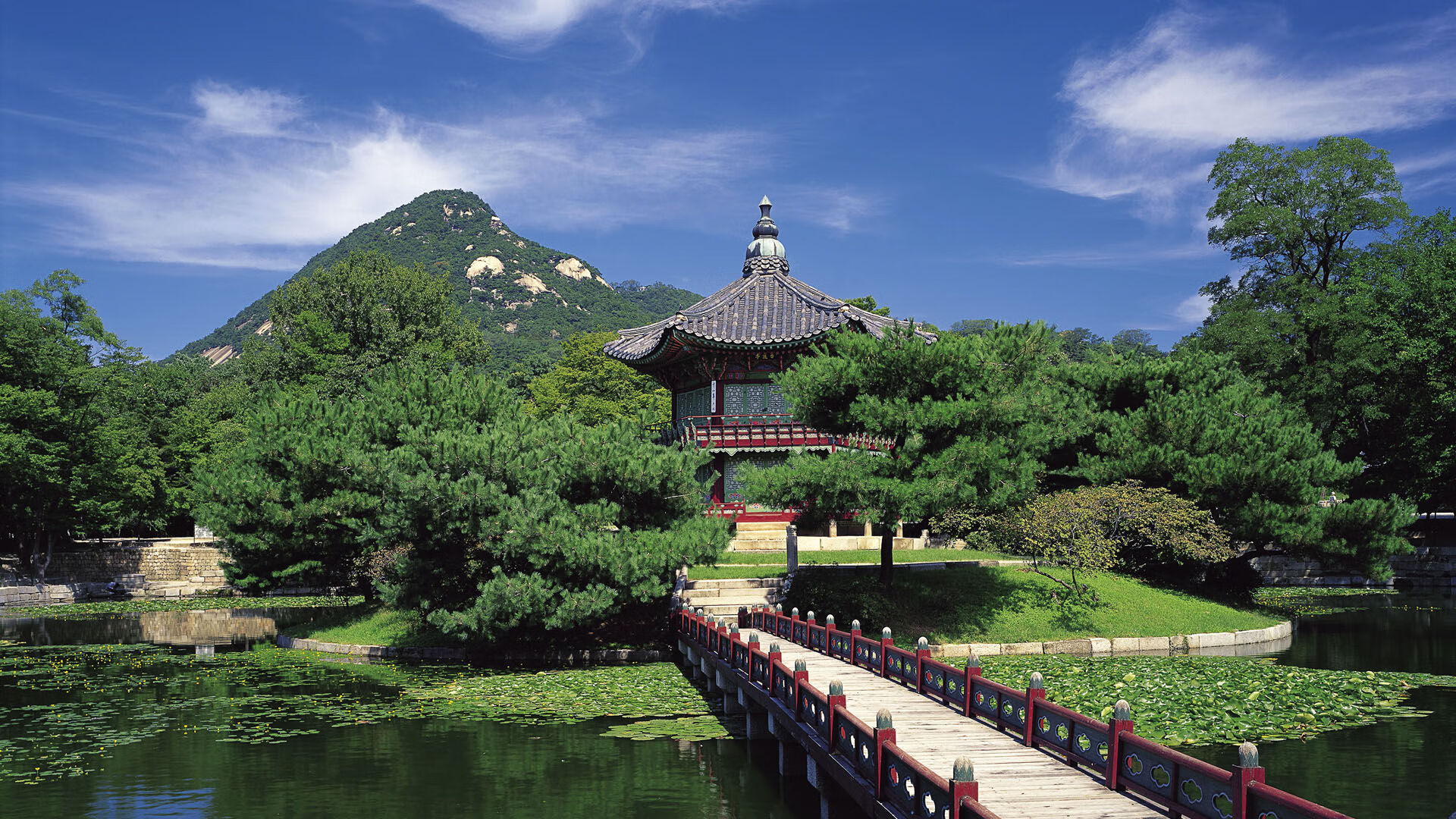 仰泳入水角度技术细节解析,仰泳手臂入水技术