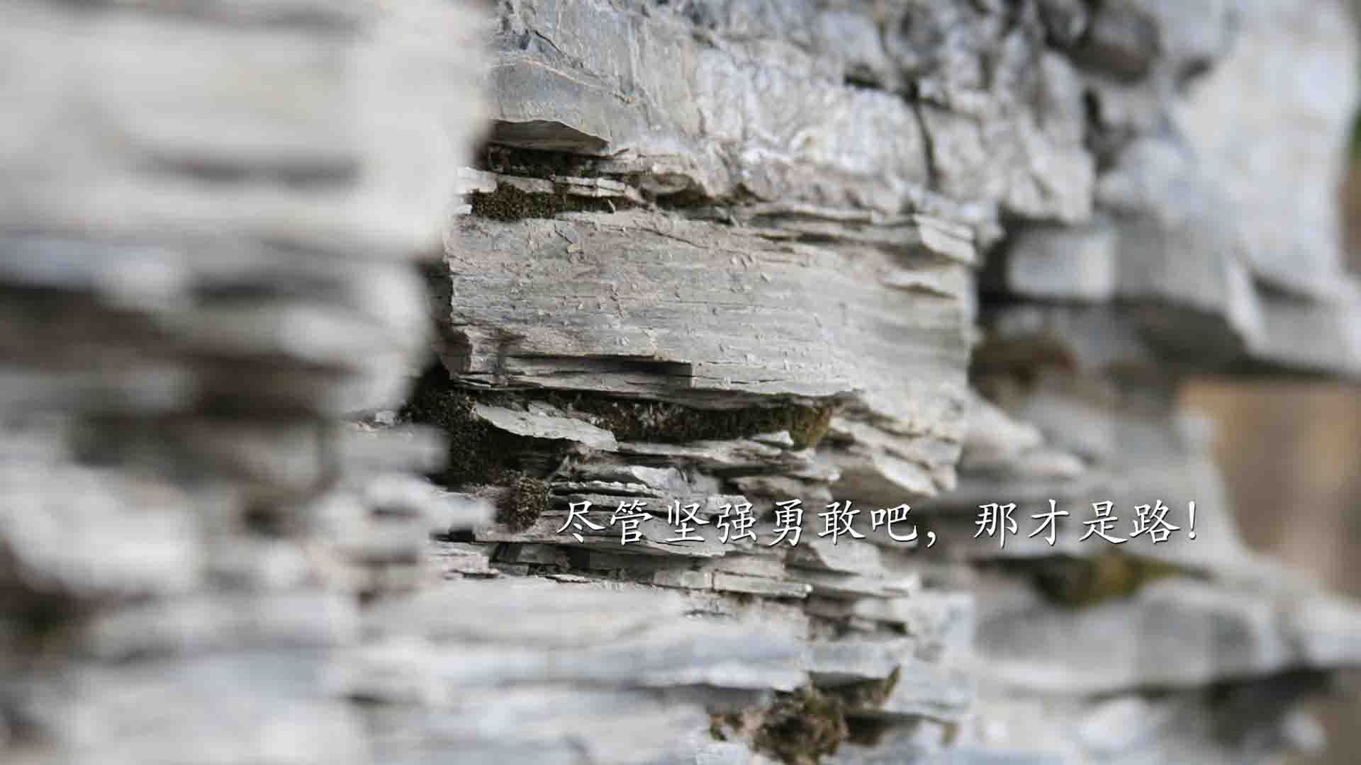 AYX官网-体育新闻中心发布青少年体育内容传播标准，青少年体育锻炼宣传