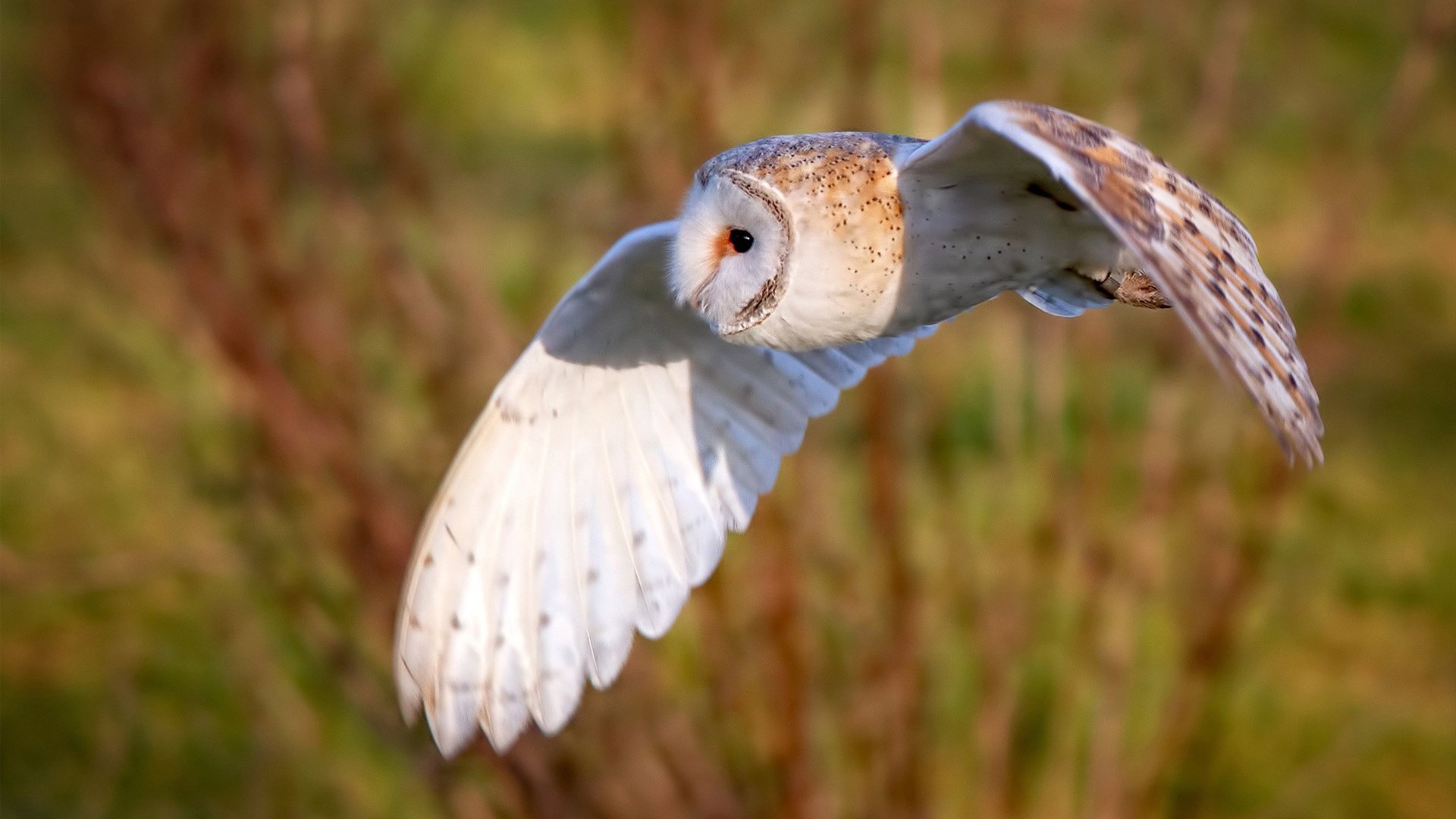 技术动作连贯性数据分析,连贯性操作技能