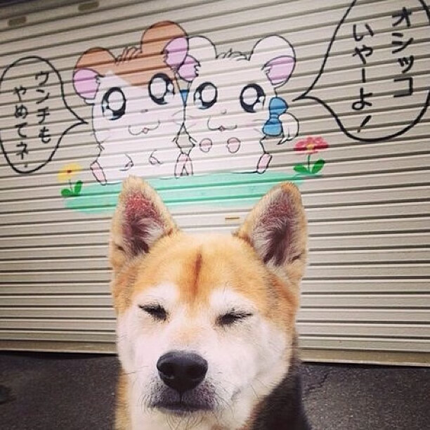 特定位置球员转会后战术角色转换速度研究，真实的球员转会消息一般不会来自哪里