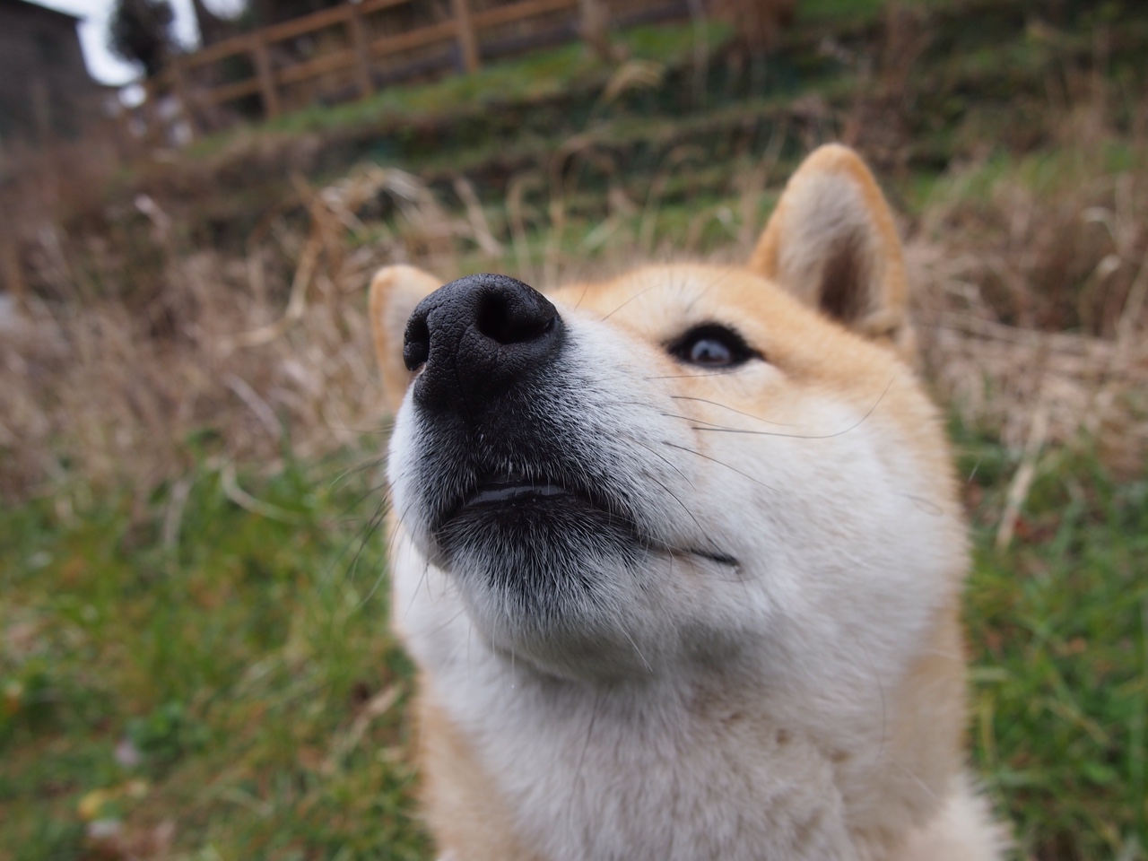 爱游戏登录入口-进攻端表现出色，前场竞争愈发激烈。，进攻型中场和前锋