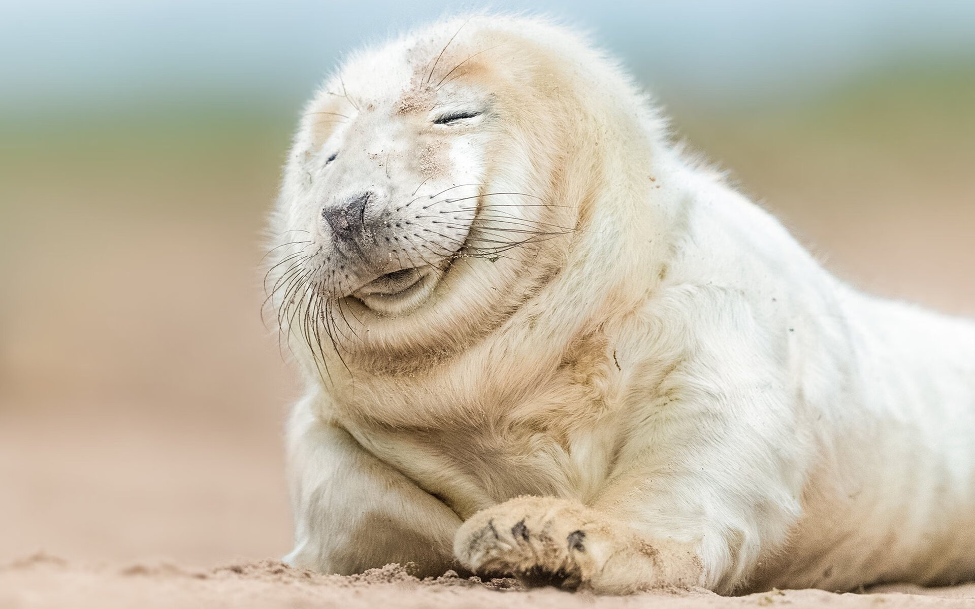 -那不勒斯打出连续配合击穿防线，那不勒斯阵型