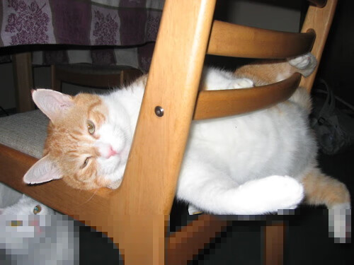 AYX GAMING-世界杯绝妙瞬间：经典片段珍藏一生！，世界杯经典视频