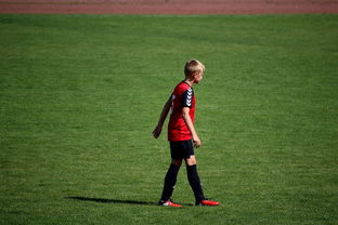 爱游戏娱乐平台-中国足球俱乐部青训营技术指导持续加强，中国足球青训机构