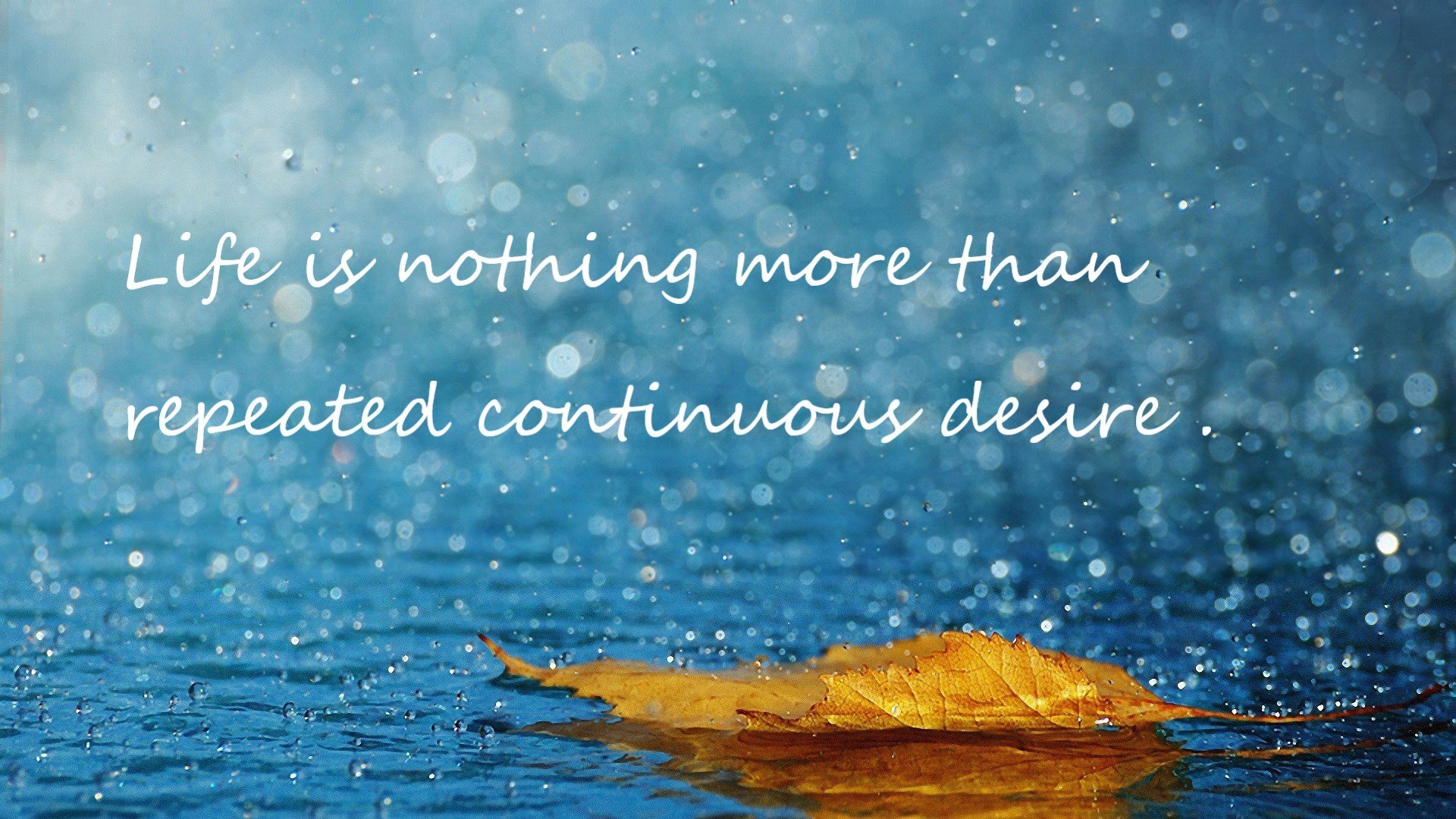 中超联赛推动智能音频导览系统优化球迷现场体验