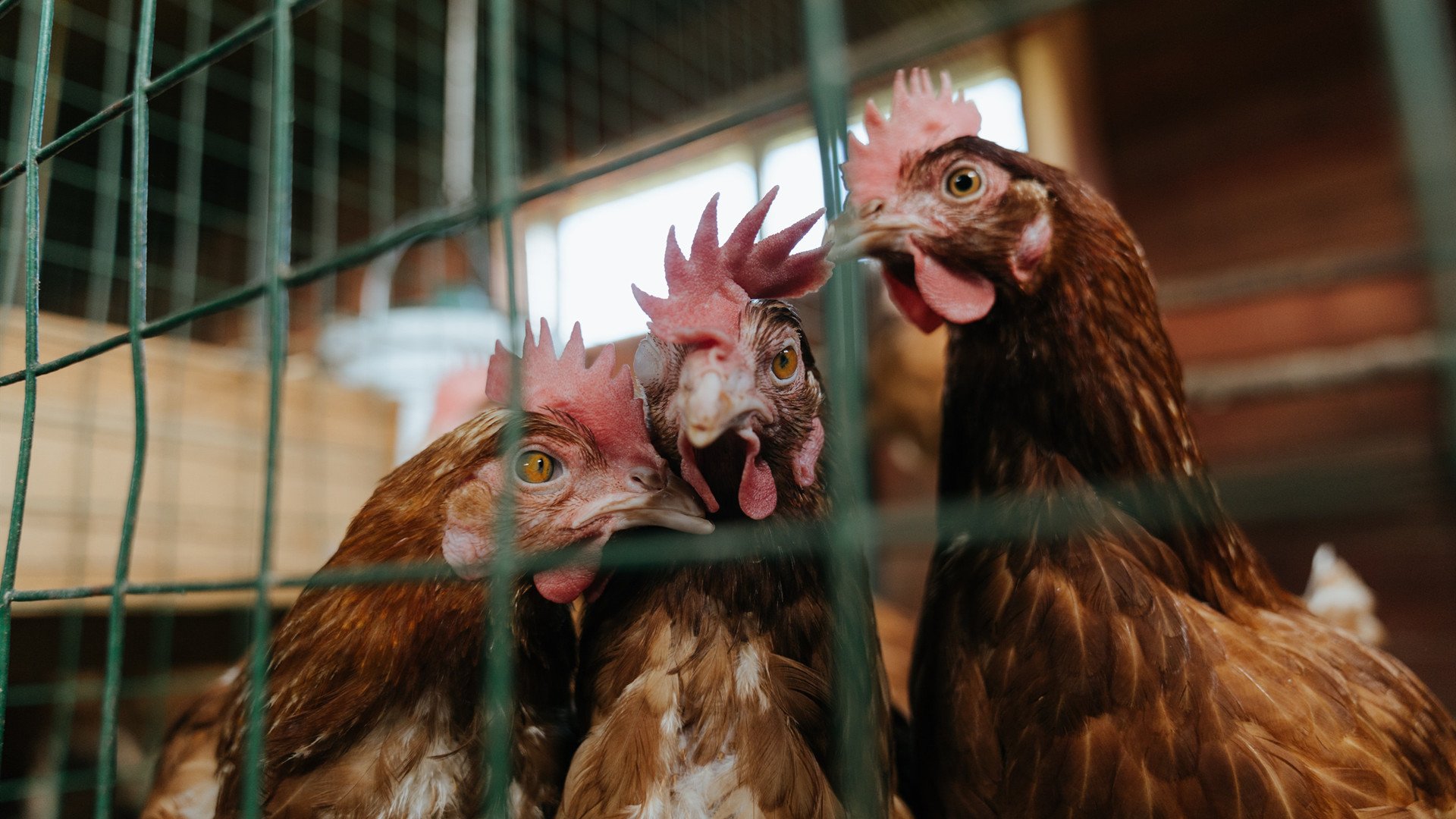 仰泳稳定推进韩国晋级顺利，仰泳 2017