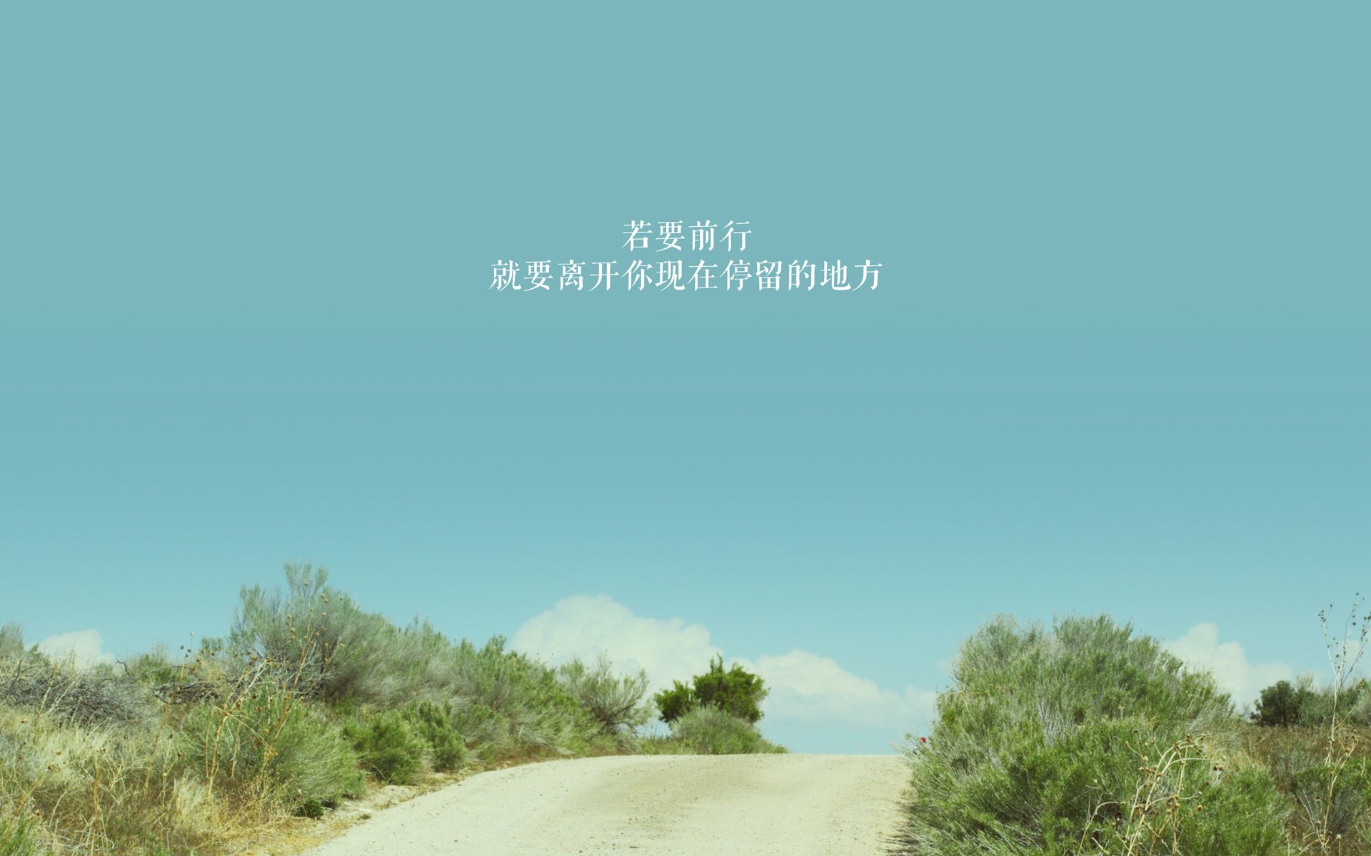 希腊女子水球展示高效组织力,男子水球希腊