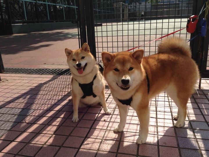 库策精准转身成决赛关键点