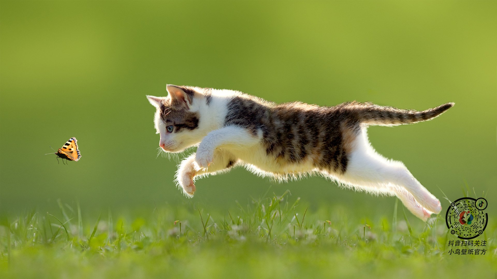 意甲超级演出:技术与精神的完美展现,意甲经典比赛如c77 tv