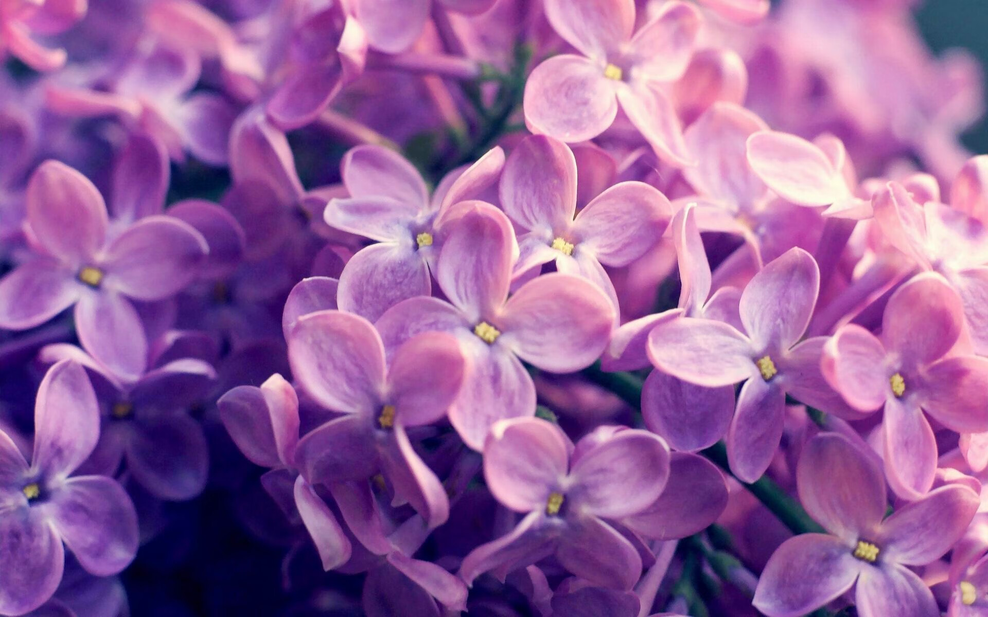 爱游戏中国官方网站平台-职业联赛推动可持续发展评估指标引导绿色足球方向，职业联赛足球游戏