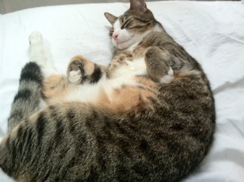 爱游戏体育app-英超终极冲刺：激情澎湃，精彩不止！，英超精华集锦2021