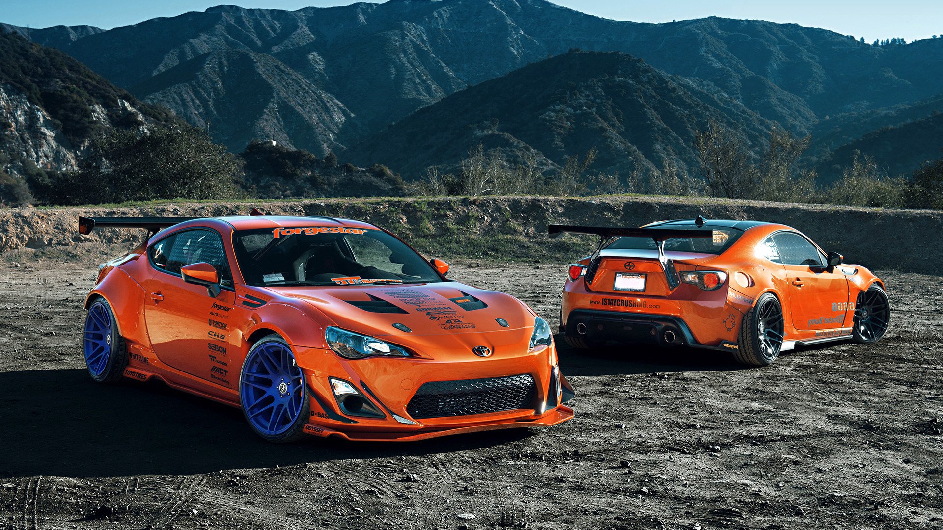 爱游戏体育-跳水选手姿态优雅波兰获认可，波兰跳水运动员女